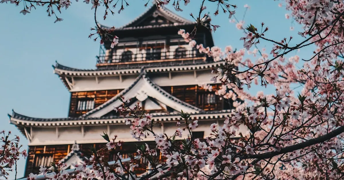 Cherry blossom branches in full bloom with a Japanese castle and pink petals in the foreground