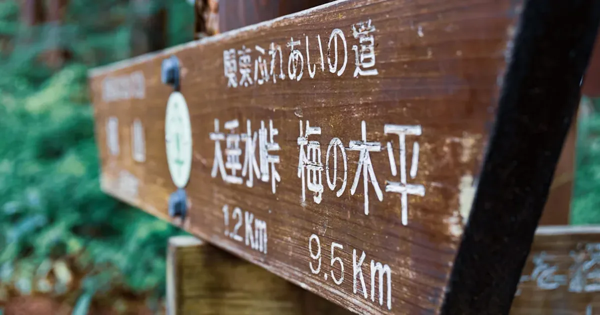 A hiking trail winding through the Japanese mountains with autumn leaves
