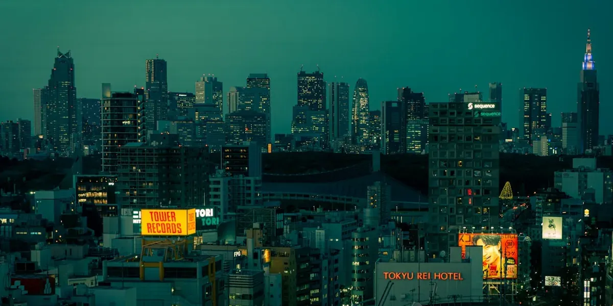 Tokyo skyline aerial view from above showing Shinjuku skyscrapers and the sprawling city