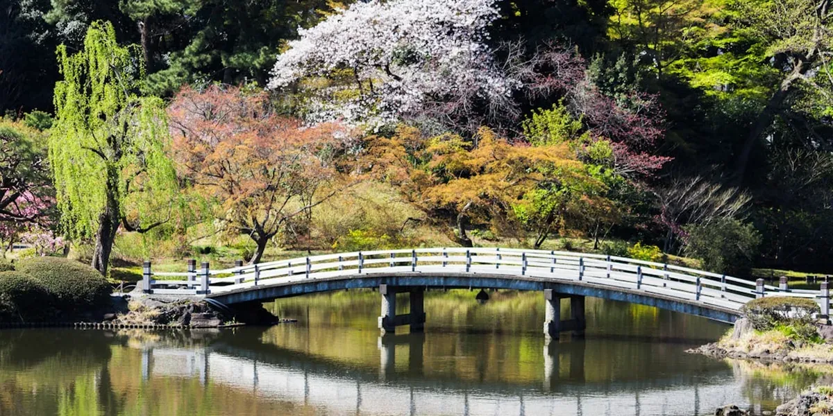 A traditional Tokyo Japanese garden with vibrant red and orange autumn foliage reflected in a pond