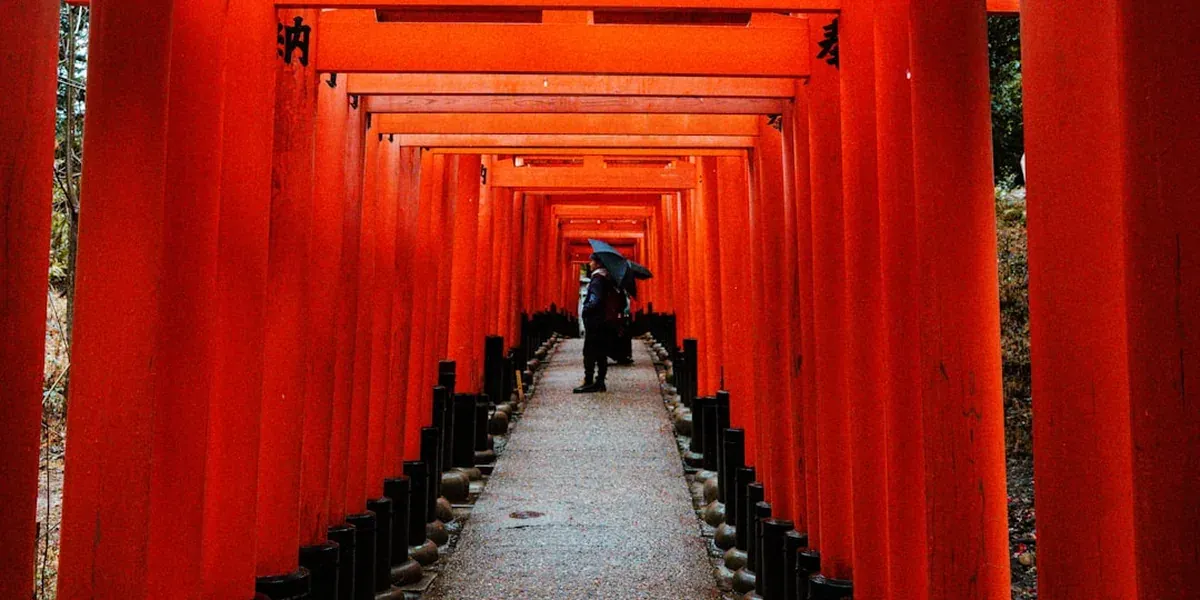 Kyoto temple path in rainy season with colourful umbrellas and lush green moss