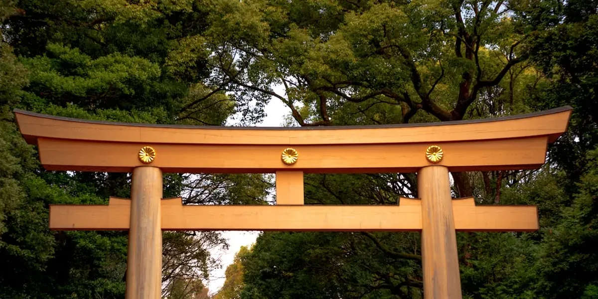 Forested torii gate path leading to Meiji Shrine in Harajuku Tokyo