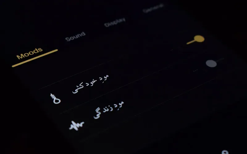 Phone camera being used to translate Japanese characters on a restaurant menu