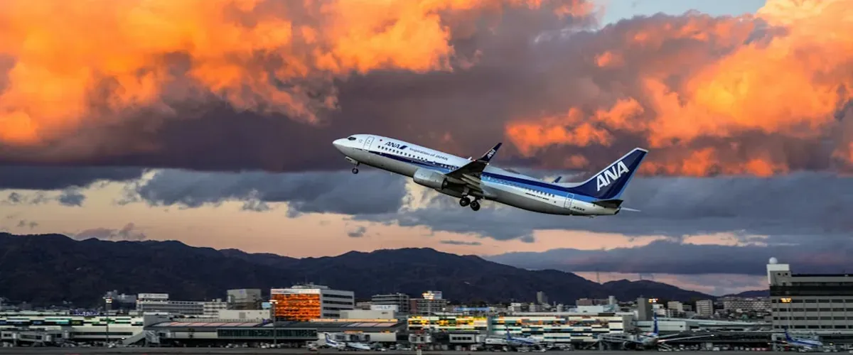 Narita Airport Japan arrival terminal with passengers arriving from international flights