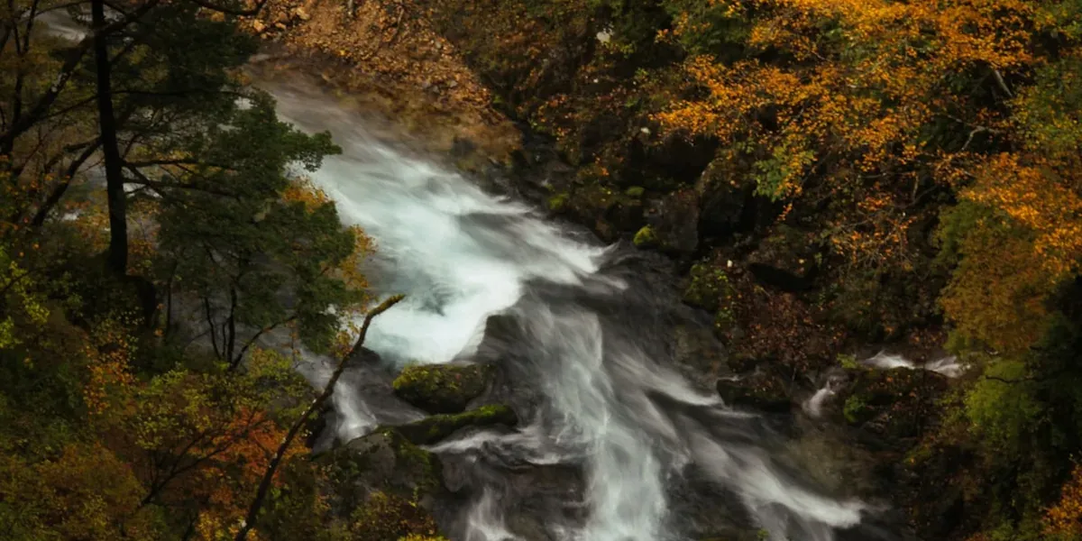 Kegon Falls in Nikko with vibrant autumn maple trees surrounding the waterfall