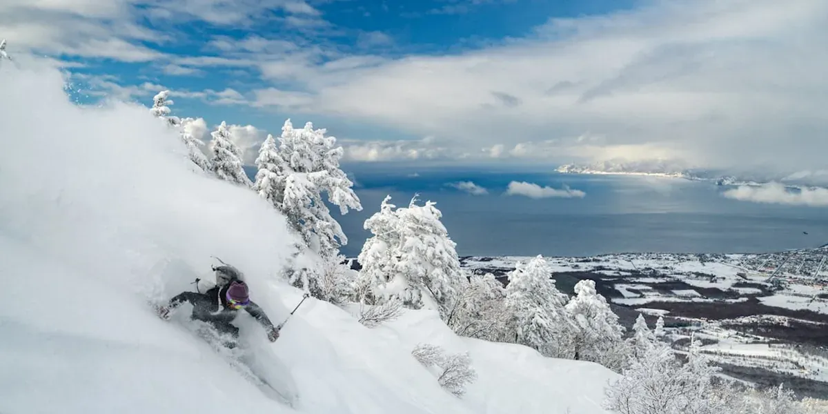 Skier in deep powder snow at Niseko ski resort in Hokkaido with snow-covered trees and mountains