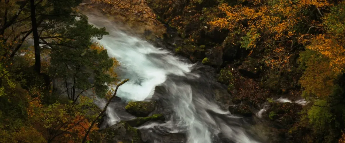 Kegon Falls dropping into a forested gorge near Lake Chuzenji in Nikko, surrounded by green mountain foliage