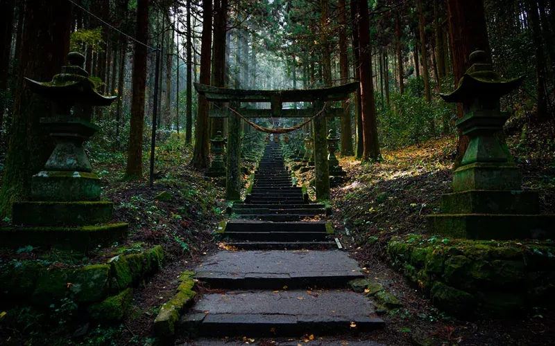 Lush forest hiking trail on Mount Misen on Miyajima Island Japan
