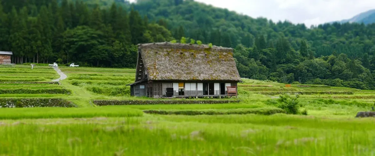 Shirakawa-go UNESCO World Heritage gassho-zukuri village in Gifu Prefecture with traditional steep thatched-roof farmhouses against mountain backdrop