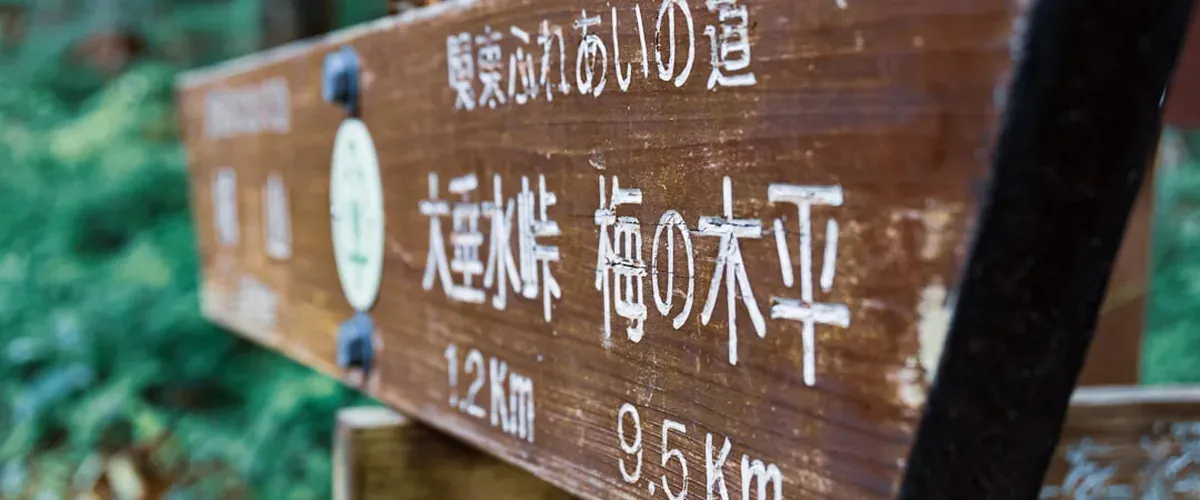Hiking trail on Mt Takao surrounded by forest with steps leading uphill through the trees