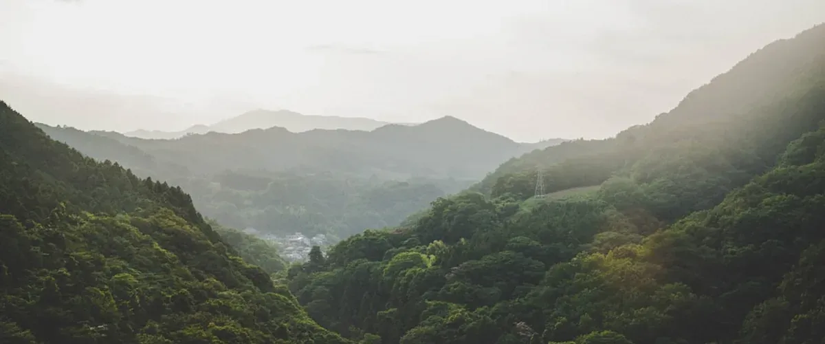 Hakone Japan mountain valley at evening with mist drifting through the cedar forest